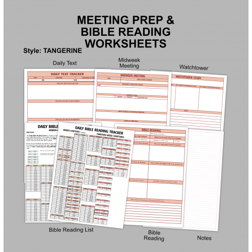 Meeting Preparation Worksheets -Tangerine